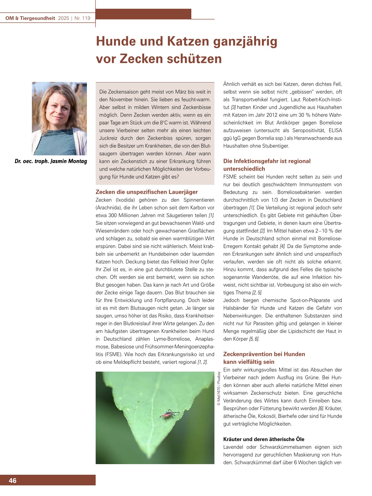 Hunde und Katzen ganzjährig vor Zecken schützen