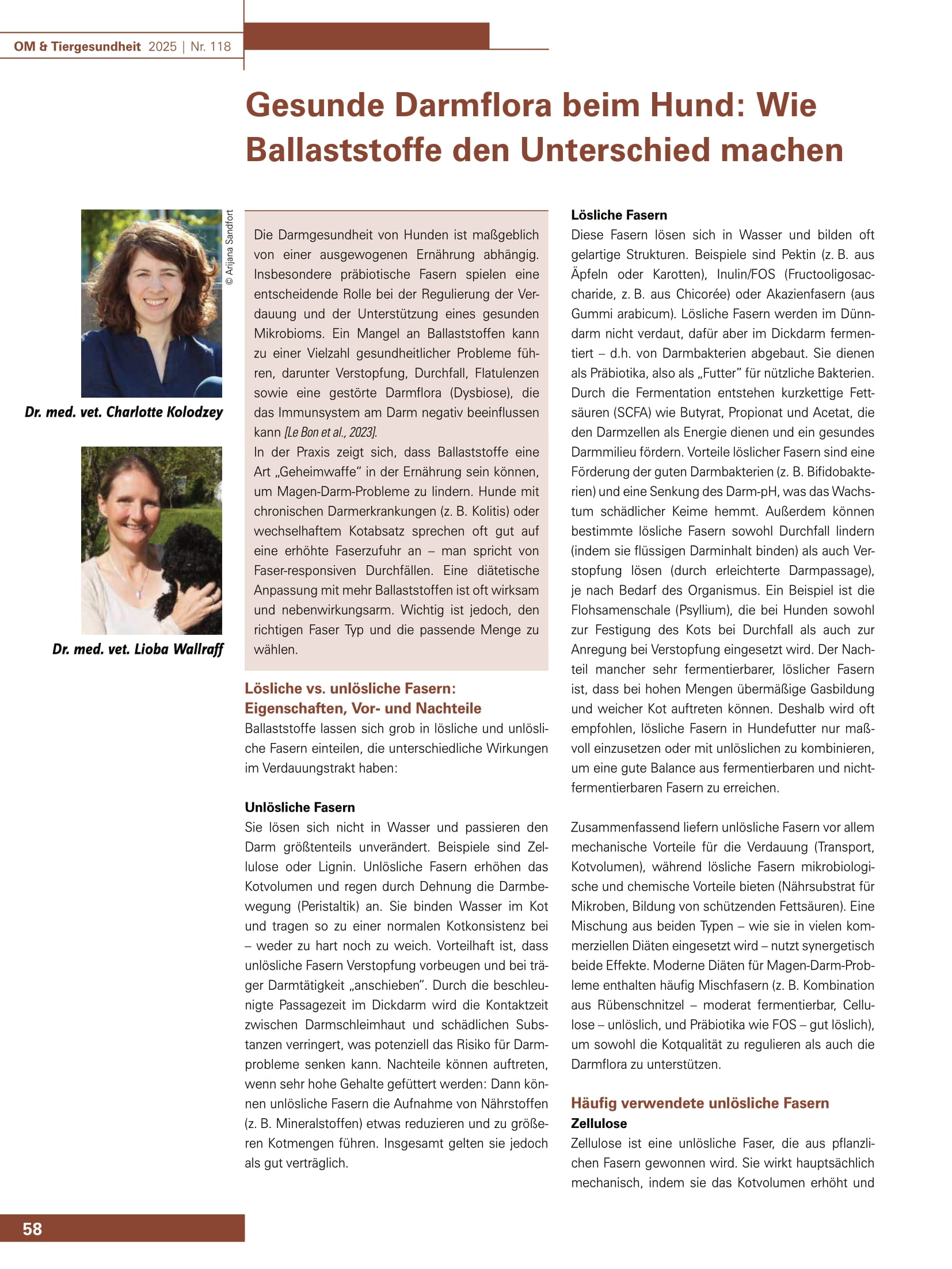 Gesunde Darmflora beim Hund: Wie Ballaststoffe den Unterschied machen