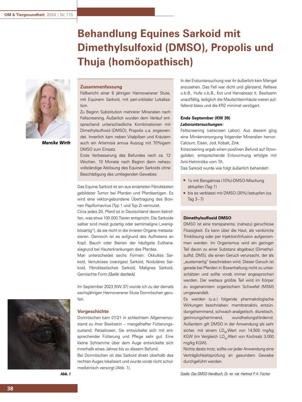 Behandlung Equines Sarkoid mit Dimethylsulfoxid (DMSO), Propolis und Thuja (homöopathisch)