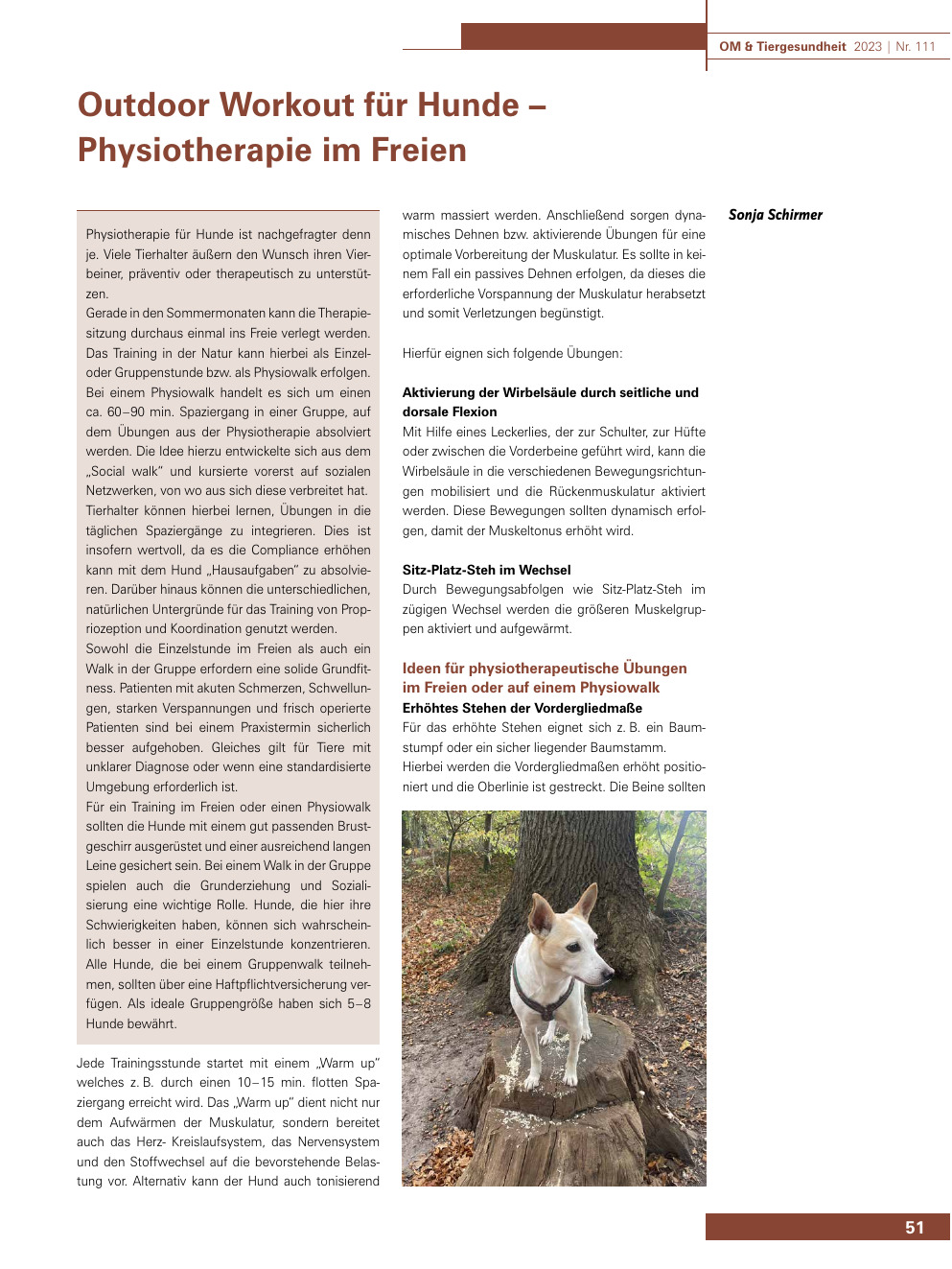 Outdoor Workout für Hunde – Physiotherapie im Freien