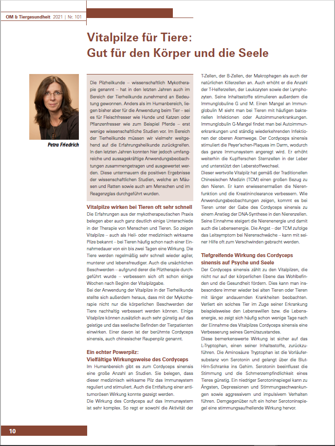 Vitalpilze für Tiere: Gut für den Körper und die Seele