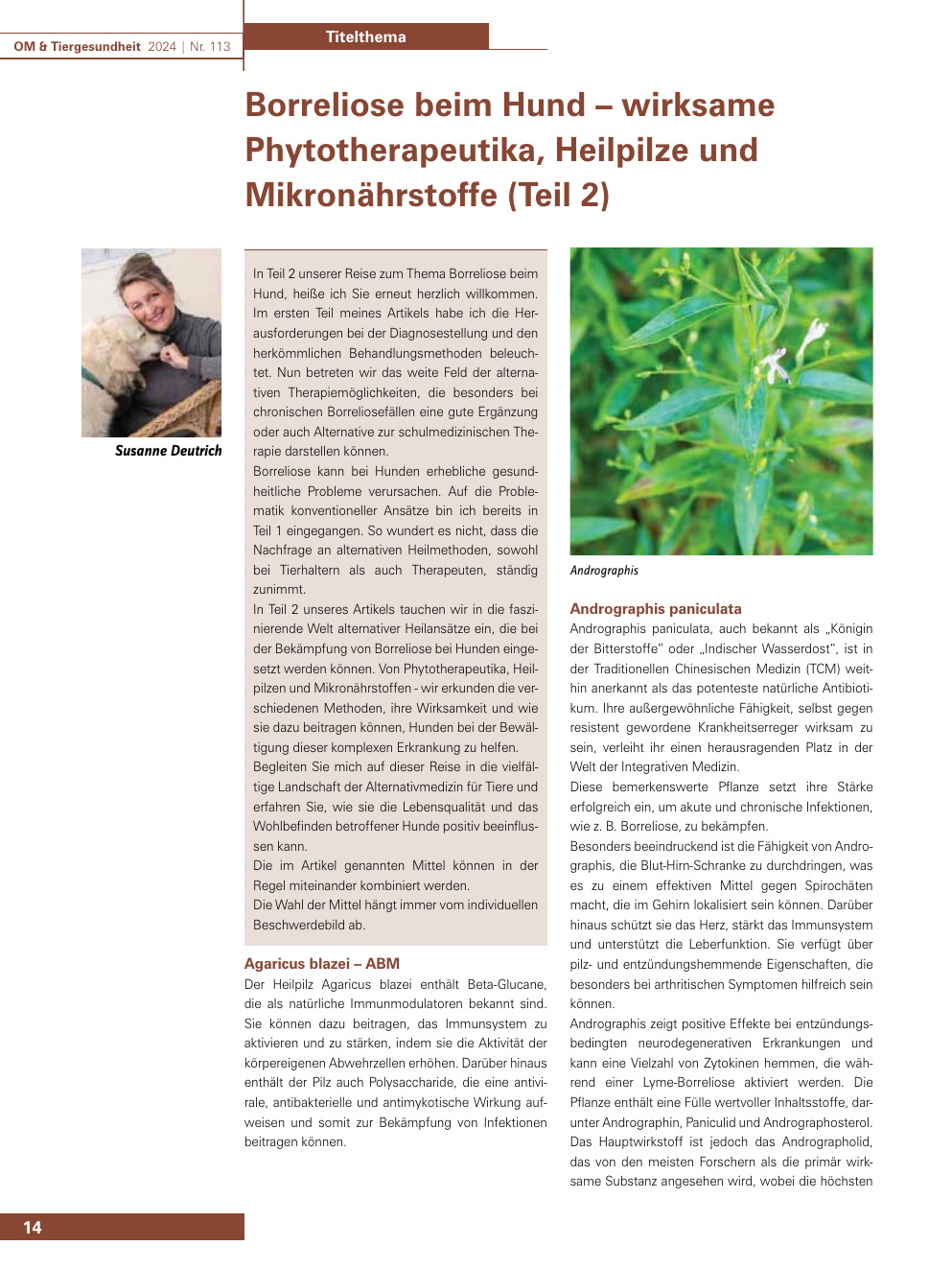 Borreliose beim Hund – wirksame Phytotherapeutika, Heilpilze und Mikronährstoffe (Teil 2)
