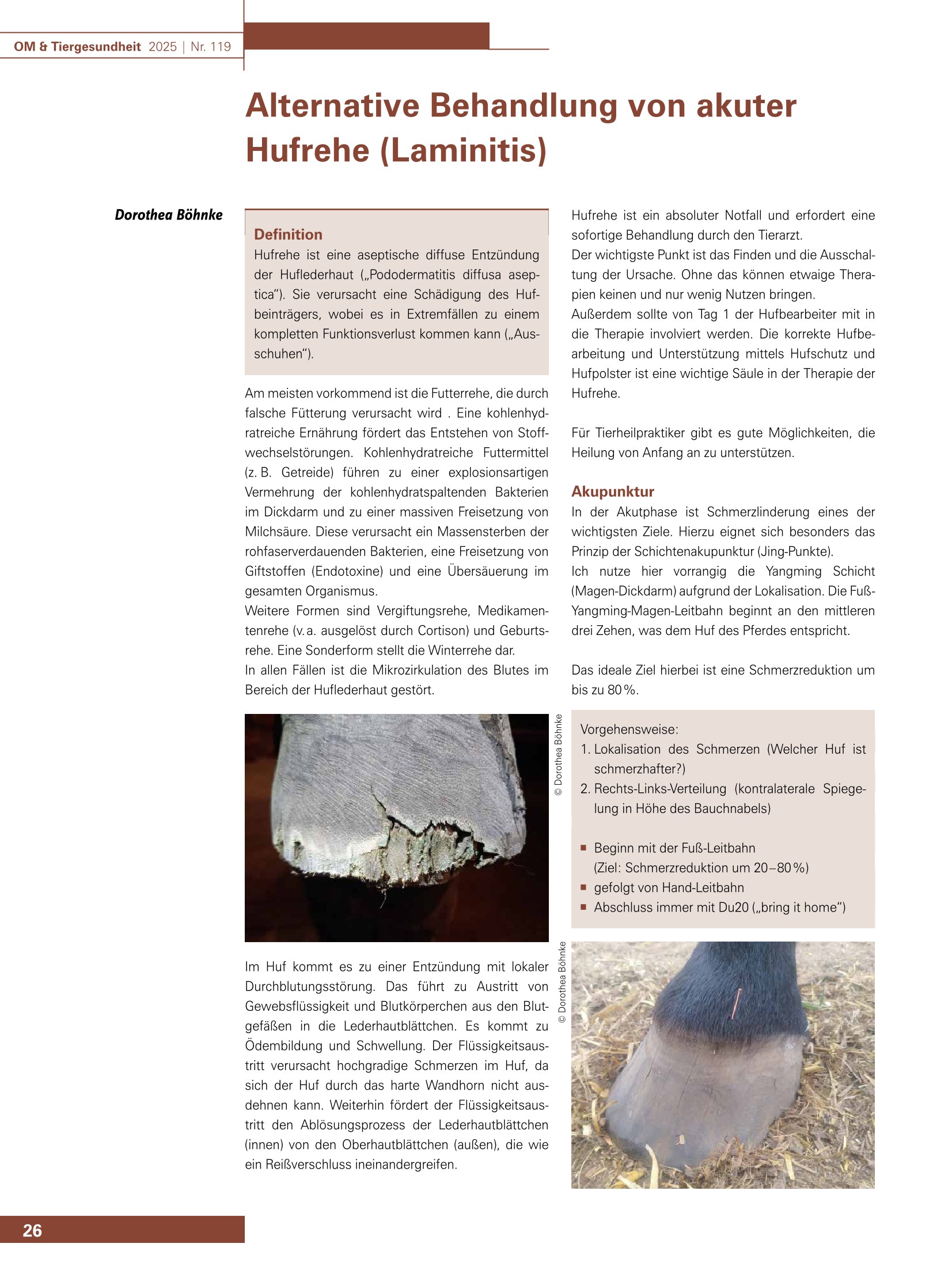 Alternative Behandlung von akuter Hufrehe (Laminitis)