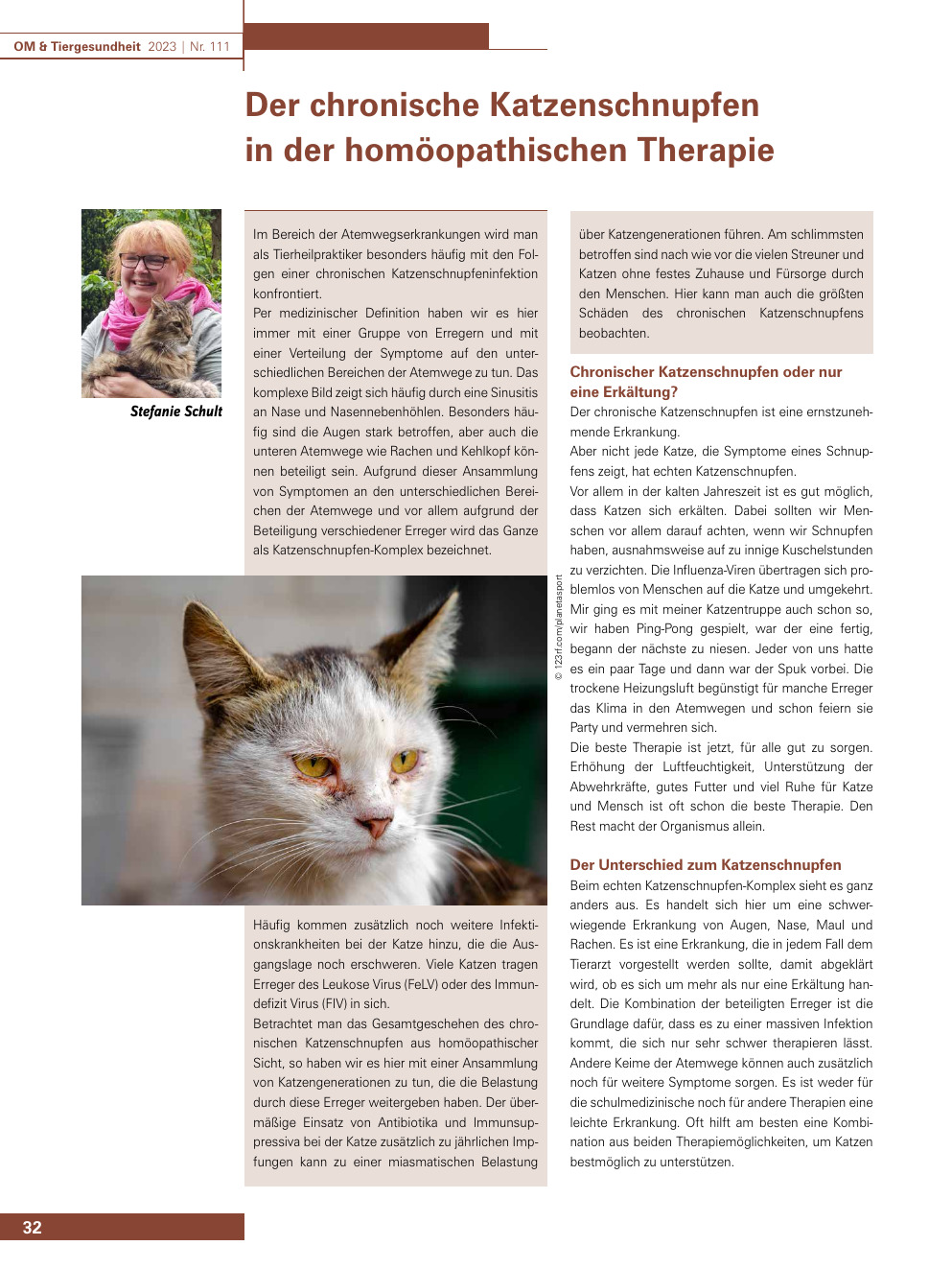 Der chronische Katzenschnupfen in der homöopathischen Therapie