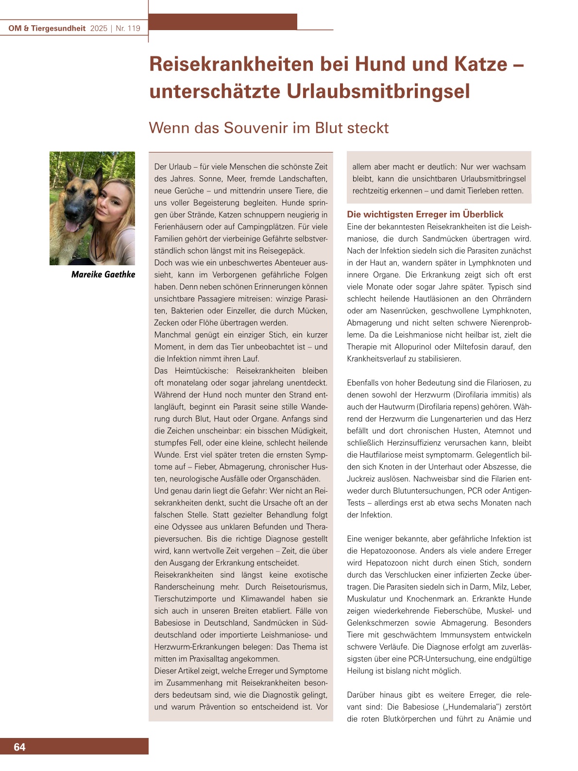 Reisekrankheiten bei Hund und Katze – unterschätzte Urlaubsmitbringsel