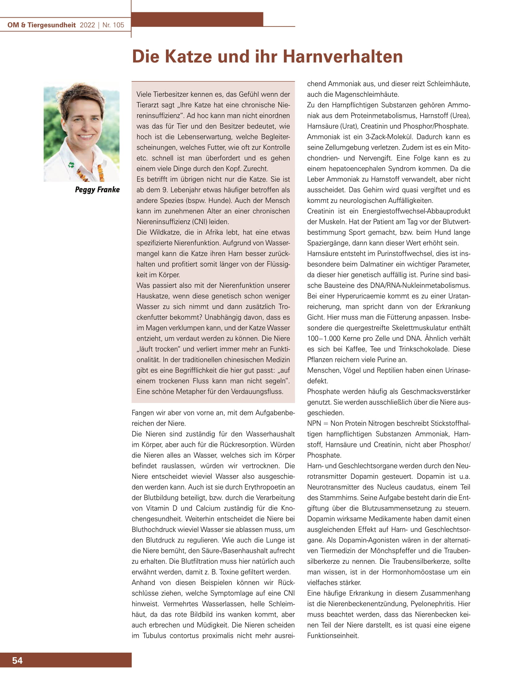 Die Katze und ihr Harnverhalten