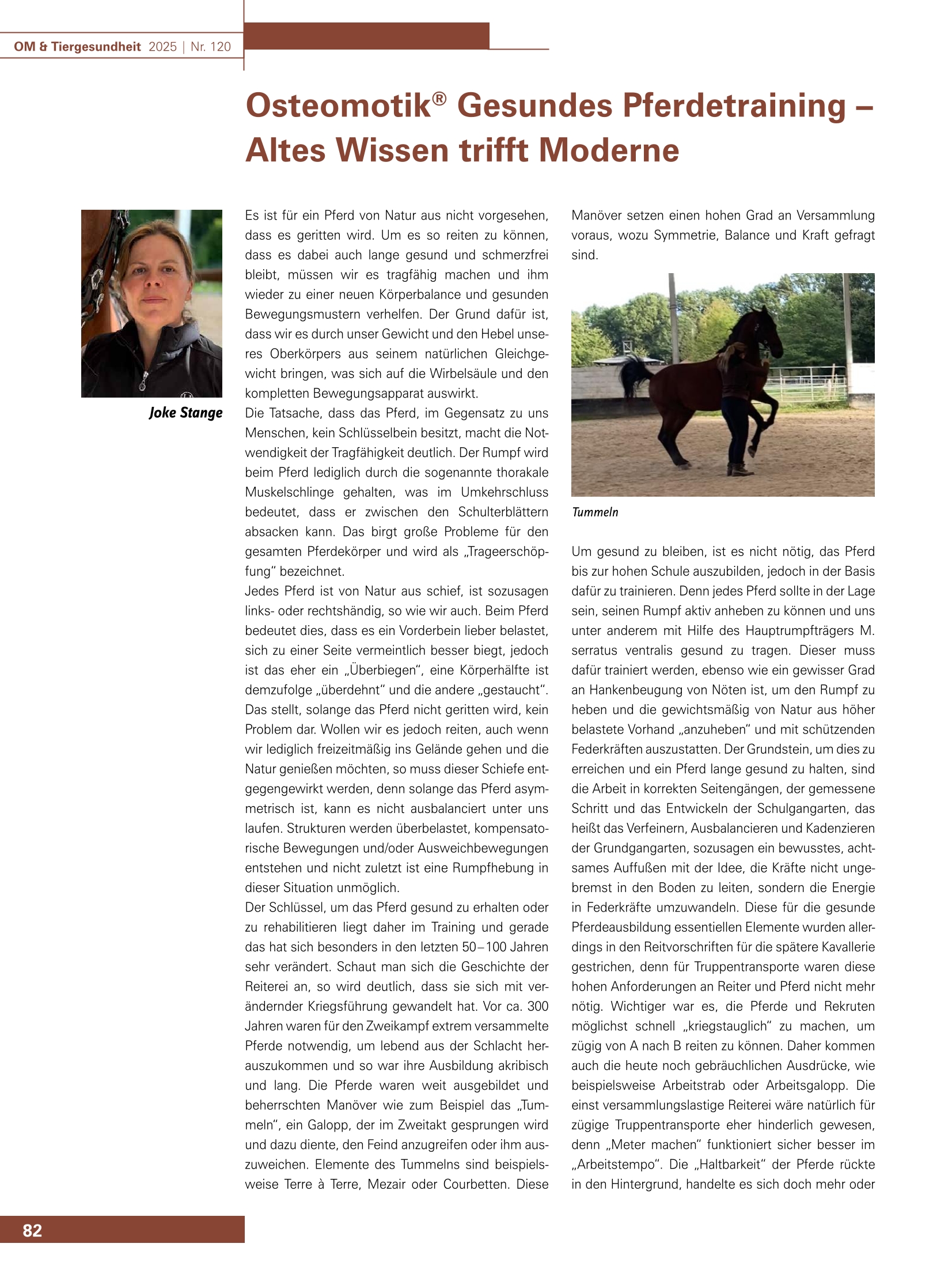 Osteomotik® Gesundes Pferdetraining –  Altes Wissen trifft Moderne