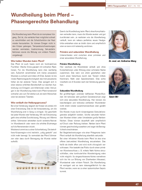 Wundheilung beim Pferd – Phasengerechte Behandlung