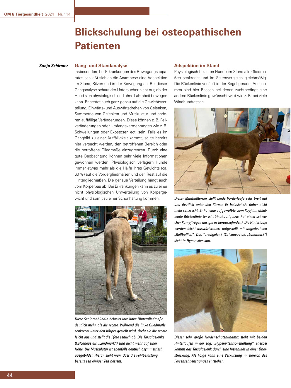 Blickschulung bei osteopathischen Patienten