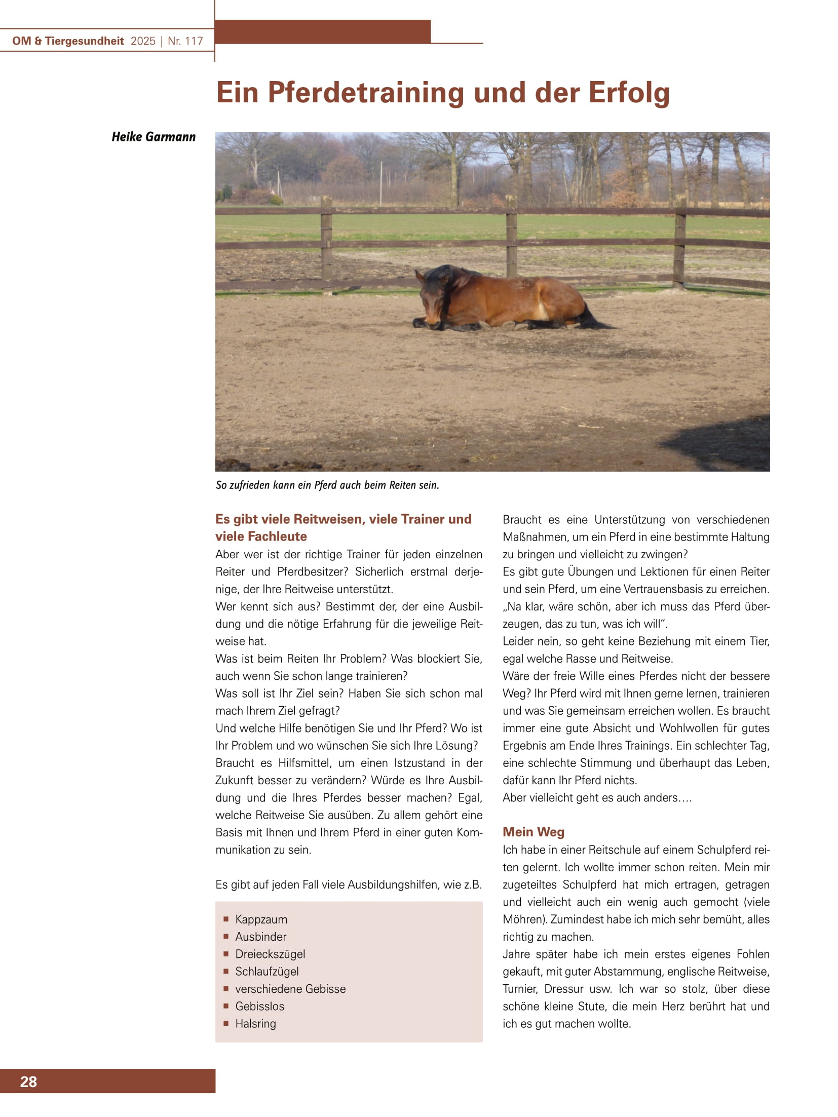 Ein Pferdetraining und der Erfolg