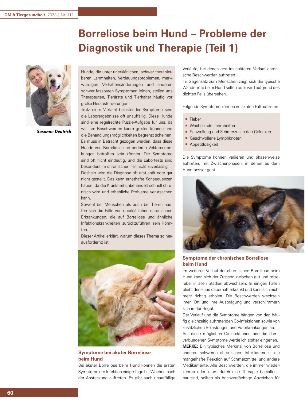 Borreliose beim Hund – Probleme der Diagnostik und Therapie (Teil 1)