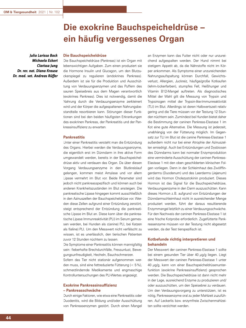 Die exokrine Bauchspeicheldrüse – ein häufig vergessenes Organ