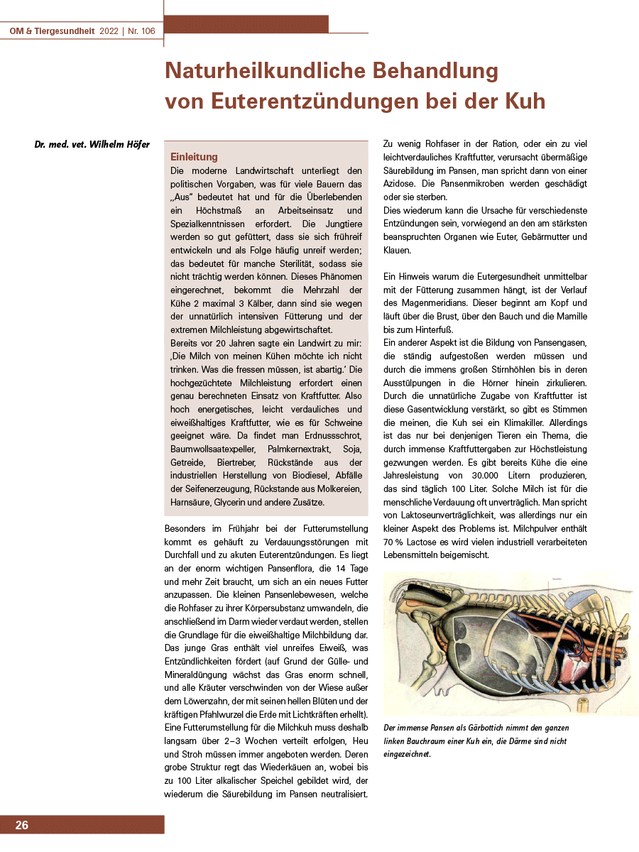 Naturheilkundliche Behandlung von Euterentzündungen bei der Kuh