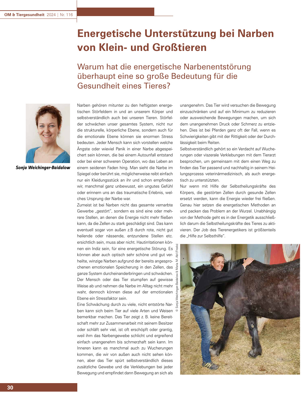 Energetische Unterstützung bei Narben von Klein- und Großtieren