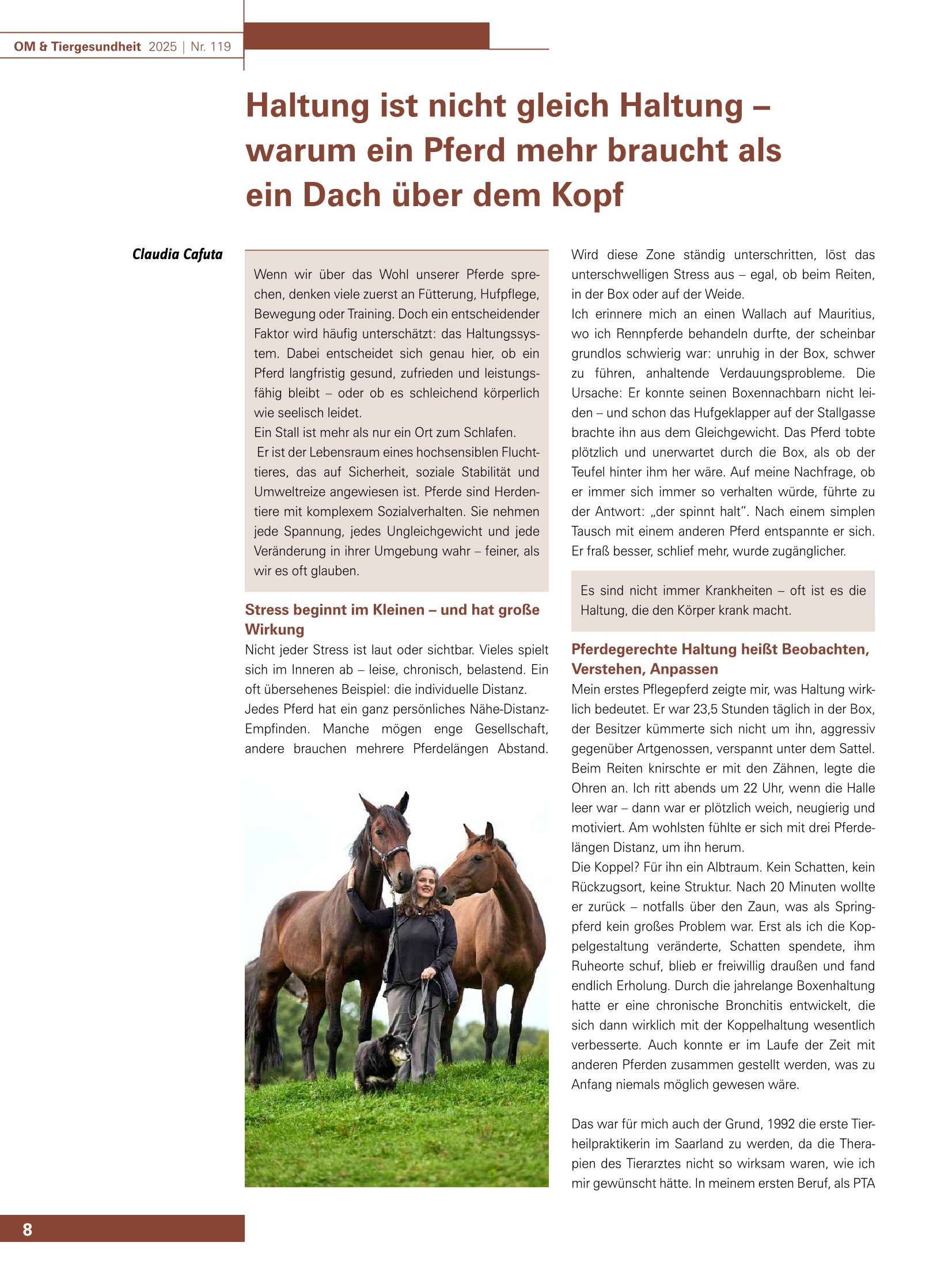 Haltung ist nicht gleich Haltung – warum ein Pferd mehr braucht als ein Dach über dem Kopf