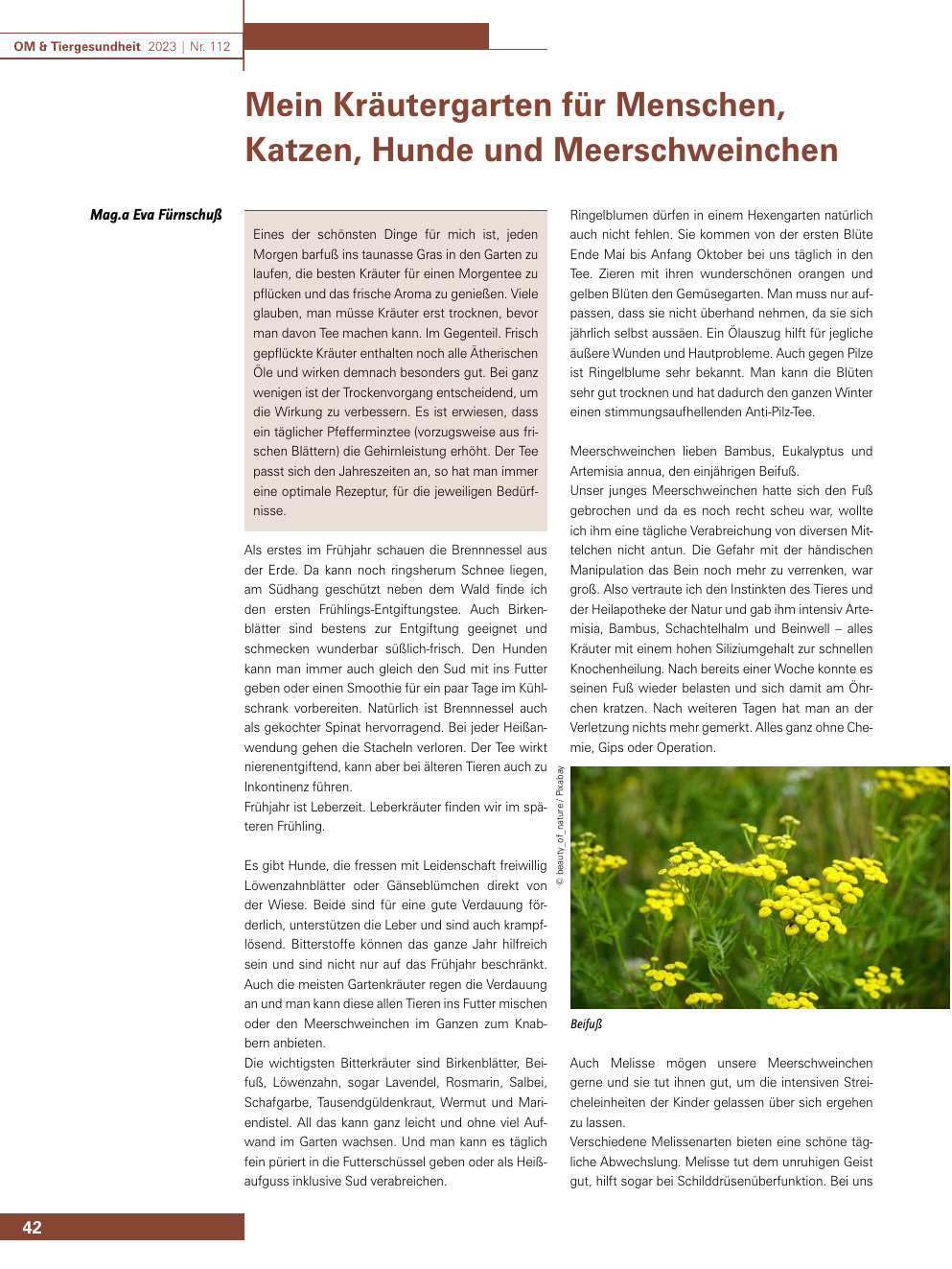 Mein Kräutergarten für Menschen, Katzen, Hunde und Meerschweinchen
