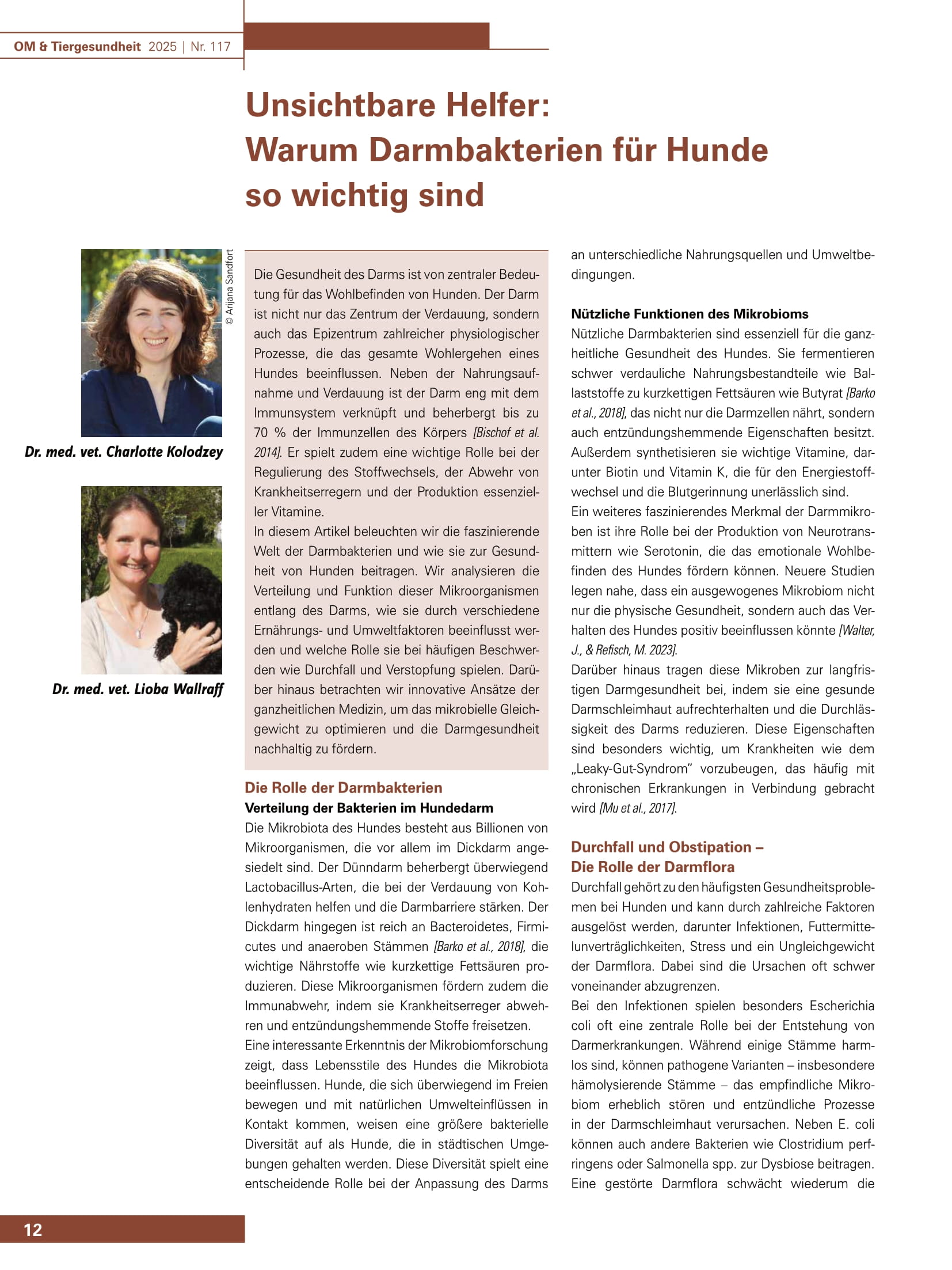 Unsichtbare Helfer: Warum Darmbakterien für Hunde so wichtig sind