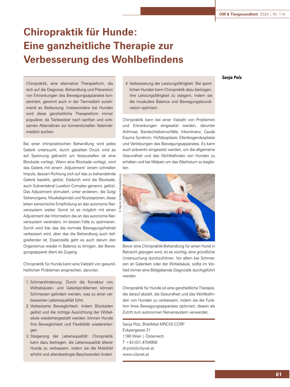 Chiropraktik für Hunde: Eine ganzheitliche Therapie zur Verbesserung des Wohlbefindens