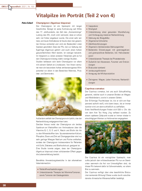 Vitalpilze im Porträt (Teil 2 von 4)