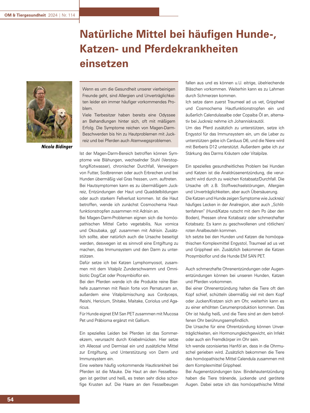 Natürliche Mittel bei häufigen Hunde-, Katzen- und Pferdekrankheiten einsetzen