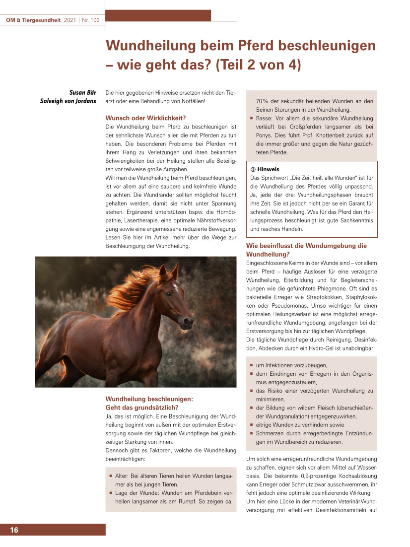 Wundheilung beim Pferd beschleunigen – wie geht das? (Teil 2 von 4)