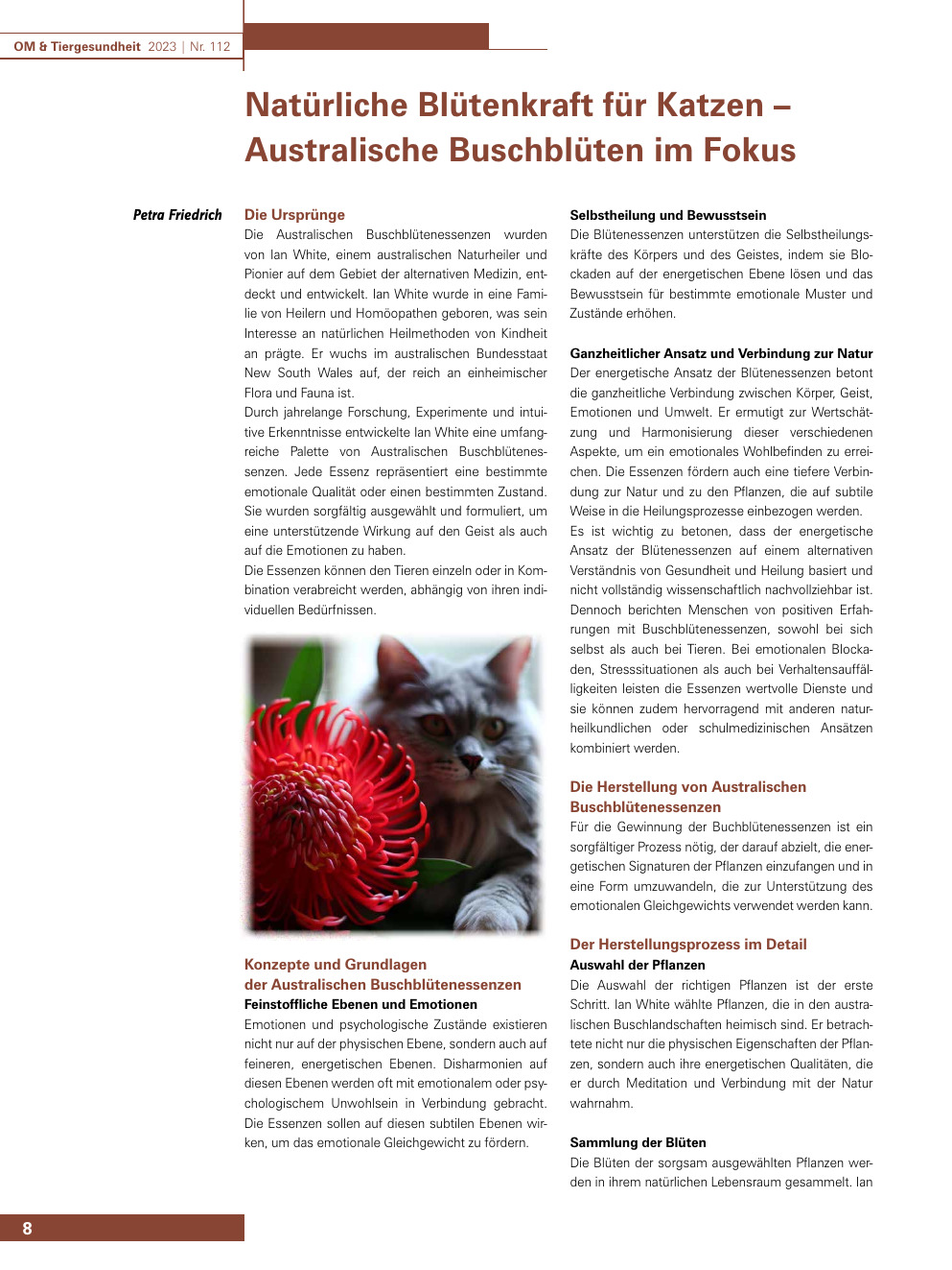 Natürliche Blütenkraft für Katzen – Australische Buschblüten im Fokus
