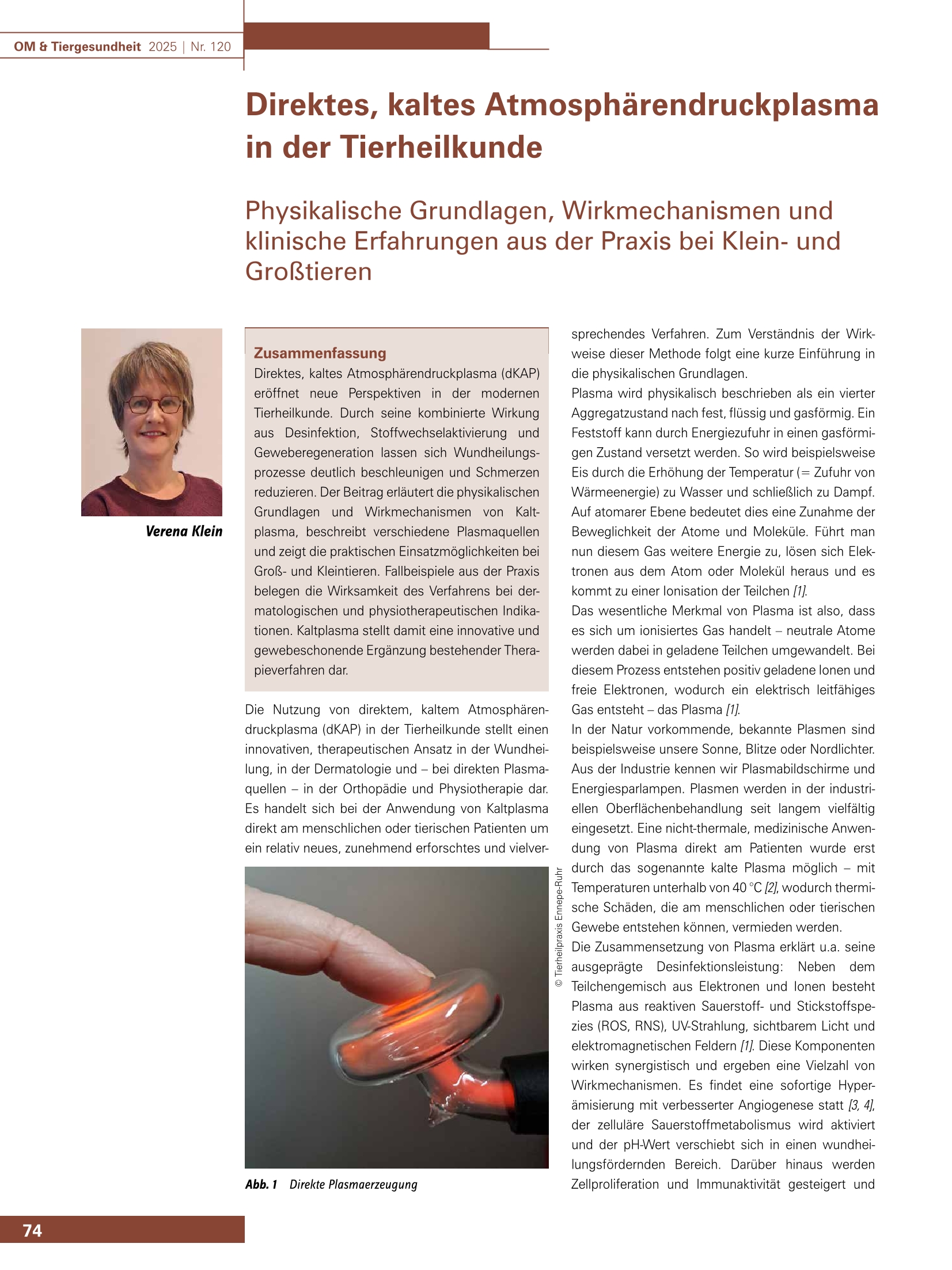 Direktes, kaltes Atmosphärendruckplasma  in der Tierheilkunde - Physikalische Grundlagen, Wirkmechanismen und  klinische Erfahrungen aus der Praxis bei Klein- und  Großtieren