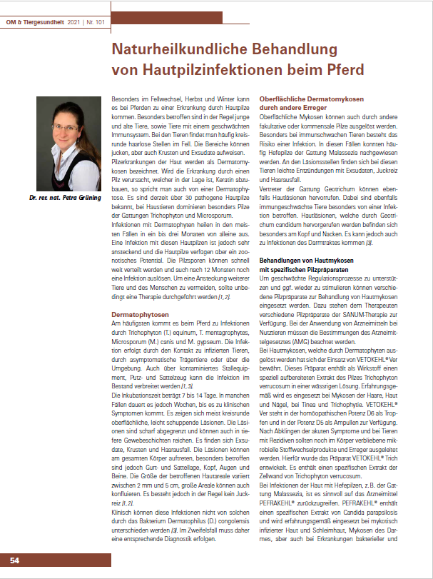 Naturheilkundliche Behandlung von Hautpilzinfektionen beim Pferd