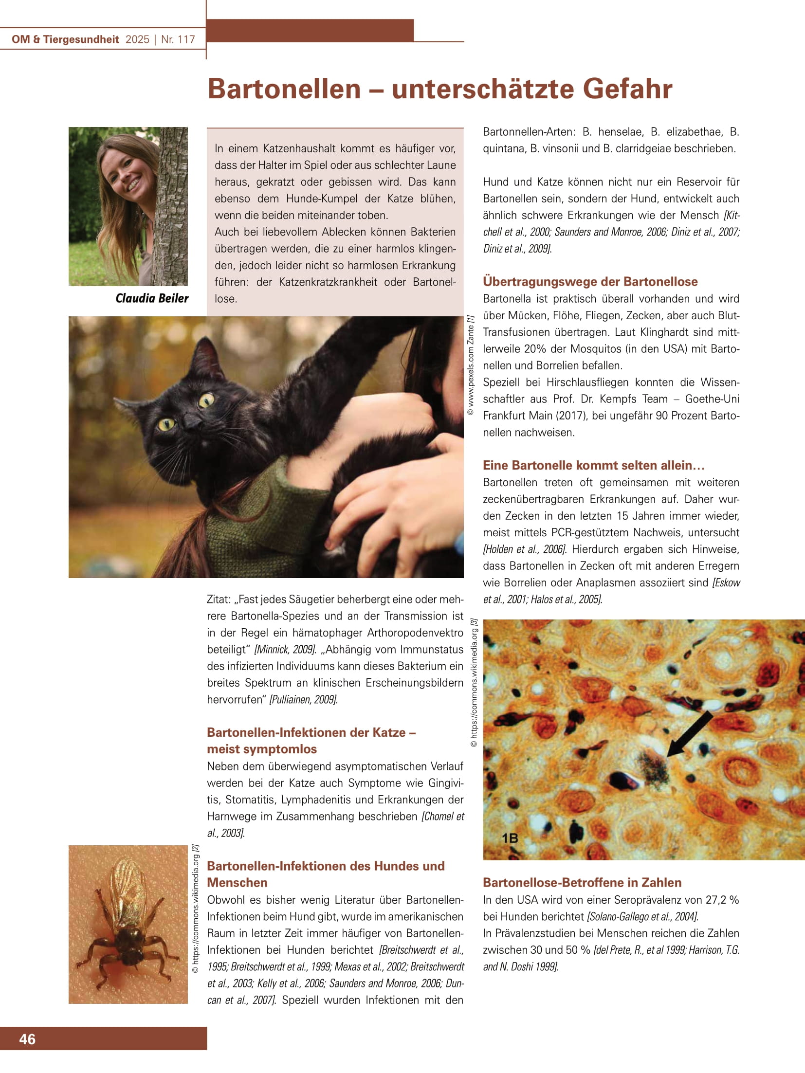 Bartonellen – unterschätzte Gefahr